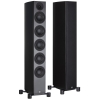 System Audio SA legend 60.2 silverback